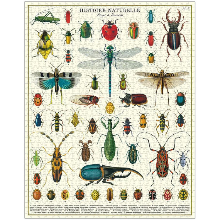 Cavallini & Co 1000 Piece Puzzle